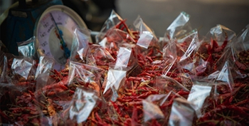 luvele vacuum sealer